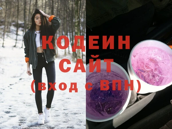 сатива Покачи