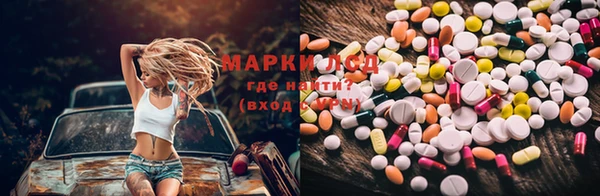 мдпв Аркадак