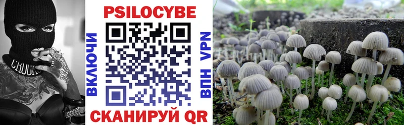 Псилоцибиновые грибы прущие грибы  Правдинск 