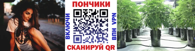 Каннабис Amnesia  купить наркотики цена  Правдинск 